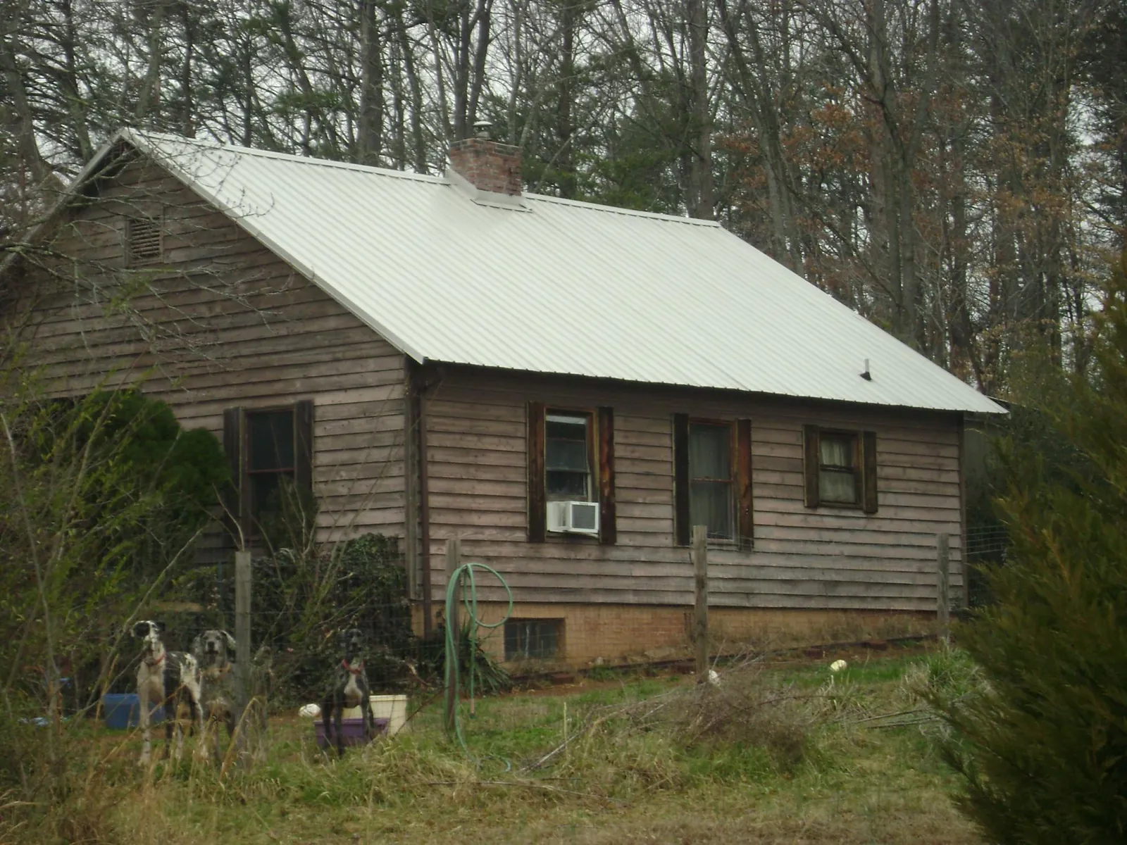 White metal roof on an old wood sided farmhouse, from a Asphalt Shingle Roof Repair job in Bigfork